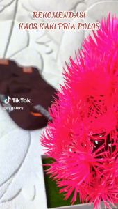 EFKS133 Kaos Kaki Cowok Kaos Kaki Pria Polos Kaos Kaki Ankle Pria Di Atas Mata Kaki Random 5 pcs