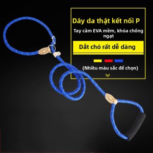 PETFUN | No Collar Pet Leash