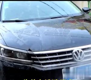 YN Electric Car Polisher/Sander: 1400W & 8 Variable Speeds from 1500~3500 RPM With D-handle and Side handle