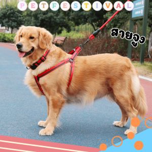 สายจูงสุนัข สายจูงหมาเล็ก สายรัดอกหมา สายรัดอกสุนัข สายรัดสุนัข สายจูงสัตว์ สายจูงหมาใหญ่ สายจูงหมา Dogharness สายจูงสุนัขแบบรัดอก สายจูง