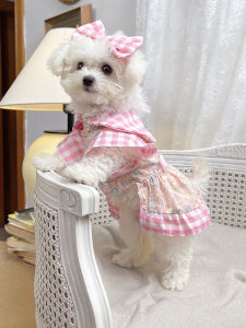 New Princess Style Dog Dress Cute Little Puppy Skirt Small Dogs Cats Pet Clothes Teddy Bichon Summer Princess Skirt