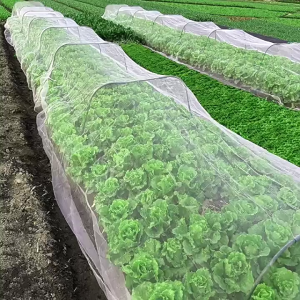 Insect Net /garden net/garden net for insect/insect net for greenhouse/insect net for plants White Mosquito Net Garden Insect Netting For Greenhouse Fine Net Insect Screen