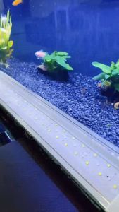 โคมไฟตู้ปลา LED รุ่น40-60CM ปรับแสงไฟได้3แบบ/หลายสี LED20-30CM ปรับแสงไฟไม่ได้ ตัวงานกันน้ำและละอองน้ำได้ดี ขนาด8-24นิ้ว ประหยัดไฟ