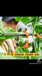 Dụng cụ buộc dây TapeTool nho cà chanh dây hoa màu hoa kiễng