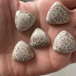 ❤️❤️Fossil Coral Stones Cabochon in Triangle Shapes 5 pcs ❤️❤️