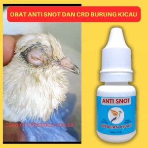 Obat Anti Snot Dan CRD Burung Kicau Original Kenari Murai Batu Sogon Lovebird Dll