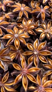 โป๊ยกั๊ก จันทน์แปดกลีบ Star Aniseeds เครื่องทำพะโล้ เครื่องเทศ และเครื่องปรุงรส ตรา ปราชญา