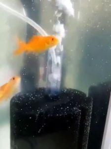 Bio Sponge Filter，Mini Cylinder Soft Professional Disinfection Biochemical Sponge Environmental Protection Energy Saving and Durability Quiet Easy to Install for Fish Tank Aquarium Equipment Accessories