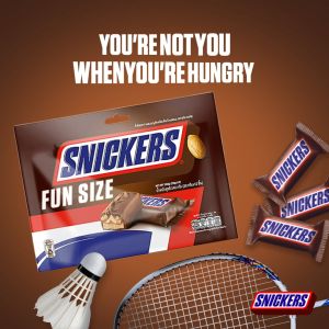 [Mingyus Favorite] Snickers Funsize Bonus Pack 280G (12+2X20G)  [Snack/Chocolate/Party]