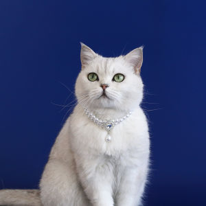 Wholesale Dog Cat Pearl Necklace Jewelry Diamond Pendant Adjustable Luxury Pet Collar Wedding Birthday Prom Costume Accessories
