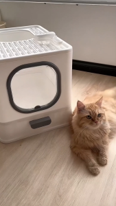 LDECO Elegant Cat Litter Box with Hood and Lid Large 22L Capacity Odorless Self-Cleaning Kitty Litter Tray with Scoop for All Breeds