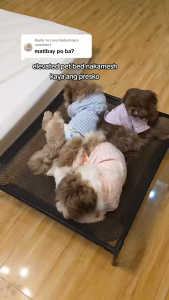 Dog Bed Bigger Size Breathable Cooling Mesh Elevated Pet Bed Bigger Size pet bed steel frame house anti skin disease