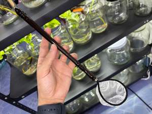 🔥 กระชอนปลากัดเรียกทรัพย์ เสริมพลังคนรักปลากัด รีบสั่งก่อนหมดล็อต⚠️