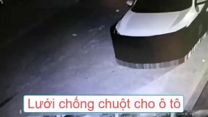 Quây chống chuột xe ô tô 4 chỗ 7 chỗ xe bán tải Chất liệu vải Poly chân lưới Inox 304 có phản quang Phù hợp với mọi loại xe