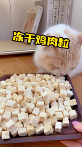 Freeze Dried Chicken Cat Treats Natural Protein Snack for Kitten & Adult Cat
