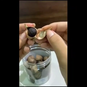 COD Black Garlic Tunggal 250gram/ Bawang Hitam Tunggal HERBAL BERMACAM KHASIAT - BAWANG HITAM PREMIUM