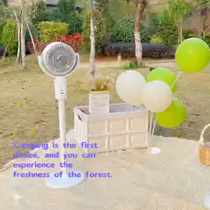 Rechargeable Stand Fan Air Circulation Fan home Household Electric Fan Floor Silent Convection Fan Remote Speed Dial 空气循环扇