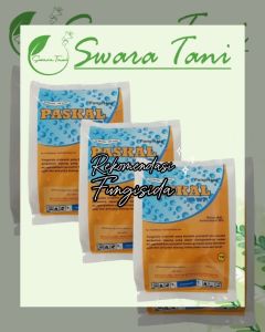 [Cuci Gudang] Paskal Fungisida 50 WP 250 gram Original