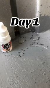 KILLSHOT Anti Ant Killer Bait Cockroach Lipas Umpan Ubat Semut Berkesan Racun Semut Berkesan Ant Killing Gel 螞蟻藥 蚂蚁药