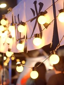 Fun Frogไฟประดับเต้นท์ ไฟตกแต่งห้อง ไฟเชอรี่ ไฟวอร์มไวท์ ไฟกลมตกแต่งLED 20หัว5M/40หัว10M ไฟประดับแบบเสียบไฟบ้าน