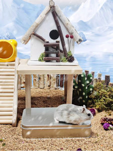 Ice Box สำหรับสัตว์เลี้ยง ช่องระบายความร้อนแบบไม่ซ้ำได้ อุปกรณ์สัตว์เลี้ยงขนาดเล็กที่อ่อนโยนต่อสิ่งแวดล้อม สเตนเลส สำหรับhamster