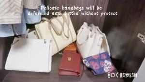 Transparent Bag Cover: A Versatile Handbag Storage Organizer