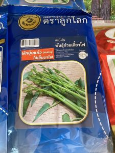 ผักบุ้งเย็นตาโฟ ผักบุ้งแก้ว 500 กรัม ถูกที่สุด ของใหม่ชัวร์ สิ้นอายุทำพันธุ์ 02 / 70