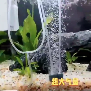 FX POMPA GELEMBUNG - Aerator Aquarium Fish Tank Oxygenator USB 1 W | Aerator - BATU OKSIGEN IKAN - OKSIGEN PERNAFASAN IKAN - ALAT OKSIGEN AKUARIUM - ALAT OKSIGEN PENAFASAN IKAN - BATU GELEMBUNG AKUARIUM AQUARIUM - ALAT GELEMBUNG UDARA AKUARIUM AQUARIUM