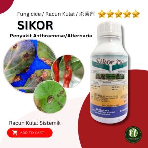SIKOR 250 (500ml) Rucun Kulat Antraknos Alternaria Tomato Kacang Panjang (Sama Syngenta Score) Difenoconazole 25% Anthracnose Powdery Mildew 辣椒树鸡眼 早疫病