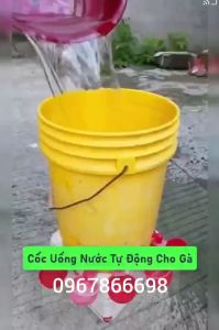Combo 10 Cái Cốc Uống Nước Tự Động Cho Gà Chim Gumbo Loại Tốt Tiết Kiệm Nước ( 10Cái)