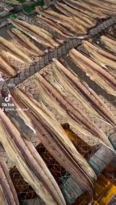 05kg KHÔ CÁ HỐ LẠC CÀ MAU GIỐNG Y NHƯ HÌNH- Vựa Khô Minh Triết