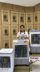 Little Elephant Air Conditioning Fan: A Comprehensive Guide