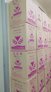 ถ้วยกระดาษน้ำดื่ม 1 แถว