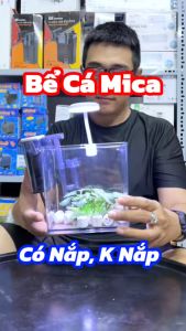 Bể Nhựa Mica Nuôi Cá Betta Guppy Thủy Sinh siêu đẹp. Kích thước 15x15x12cm