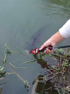 Fish Lip Grip Ikan Outdoor Penjepit BR199 Tang Stainless Steel Pancing Mulut Memancing