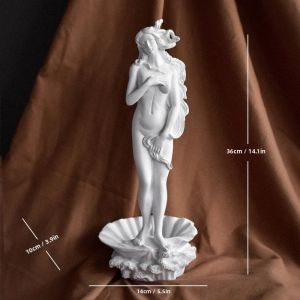 Tượng Nữ Thần Venus Hy Lạp Cổ Đại Bằng Nhựa Resin - Tượng Aphrodite Cổ Điển Thủ Công Vật Trang Trí Dành Cho Người Sưu Tầm Nghệ Thuật Và Trang Trí Nhà Cửa