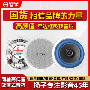 Yangzi Coaxial Ceiling Mounted Speaker Shop Use Suspension Speaker Inward Mounted Loudspeaker