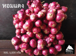 หอมแดง(ส่งฟรีกดรับโค้ดด้านล่าง) สด ใหม่ สะอาด ลูกใหญ่ 500 1000 กรัม เก็บไว้ได้นาน ไม่ฝ่อ คัดเกรดพิเศษ หอมแดงเชียงราย ลูกค้าสามารถเก็บคู
