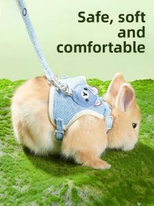 Pet Rabbit Leash Outdoor Anti-Escape Guinea Pig Supplies Small Rabbit Traction Rope Breeding Cage Accessory Chinchilla Harness