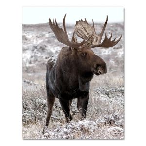 BILIBILI | Scandinavian Poster and Print Winter Nature Landscape Canvas Painting Beer Deer Animal Wall Art Picture Nordic Style Home Decor