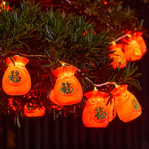 BEAUTY IN THE LIGHT | New Year Festival Lanterns Decorative Photographic Props for Home Decoration