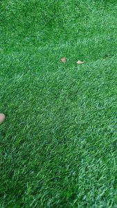 Giày Cao Gót Nữ Trường Hải Mũi Nhọn Gót Vuông 5cm Da Bò Đỏ Đen