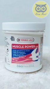 Muscle Power: Obat Otot & Suplemen Kicauan Burung