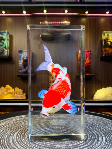 Luxurious Crystal Koi Fish Tabletop Decorations Indoor Scenic Spot Living Room TV Cabinet Entranceway Decorations Wealth Attracting