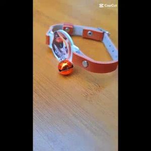 Custom Nama Kalung Kucing Anjing Kualitas Premium Bahan Kulit Sintetis Lonceng 14 mm (KCN 4)