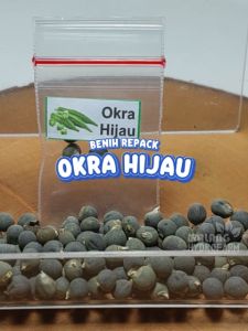 Benih Okra Hijau Unggulan berkualitas biji greenie bibit hydroponik hidroponik sayuran sayur