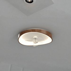 HUANGJIANG | Walnut Color Silent Ceiling Fan Light Eye-care