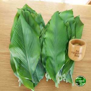 Daun kunyit segar 1 kg fresh-az