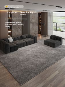 Honghe | Luxurious Waterproof Stain-resistant Minimalist Rug