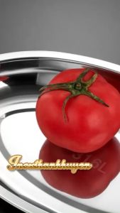 Đĩa ovan hột xoài inox 316 siêu cao cấp Hàn Quốc vệ sinh an toàn thực phẩm khử mùi tốt dùng trong y tế